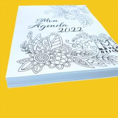 Agenda à colorier Mavlo Design 2023-2024 & 2024 (Petit format 7x9 )